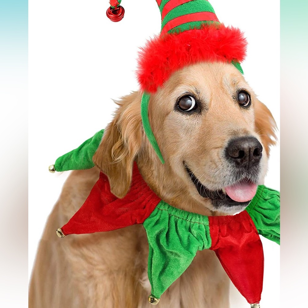 🟢3/$15 Dog Christmas Elf collar & Standard red dog collar